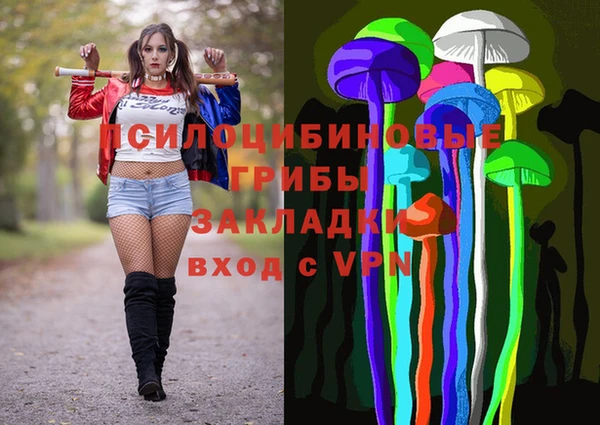 эйфоретик Павловск